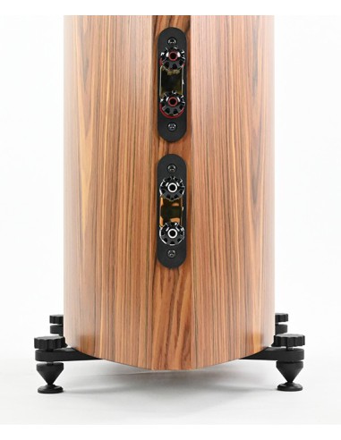 Vescova Black Edition