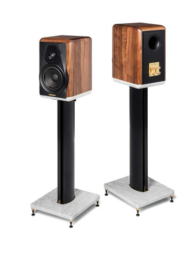 Electa Amator III