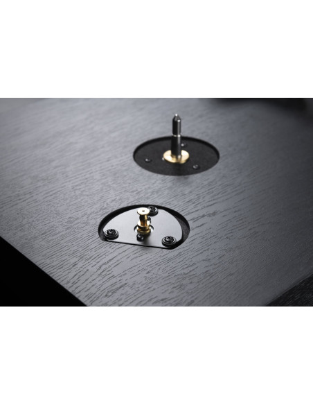 CS 418 black oak