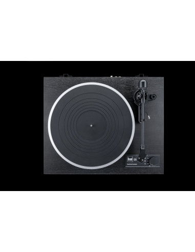CS 418 black oak