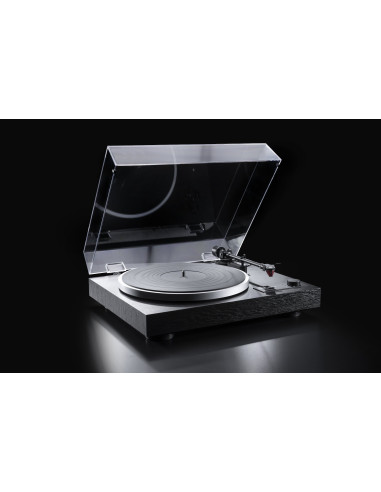 CS 418 black oak
