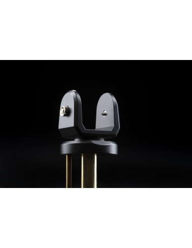 CS 418 black oak