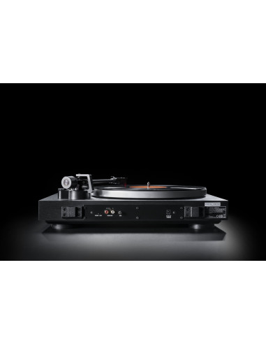 CS 518 black oak