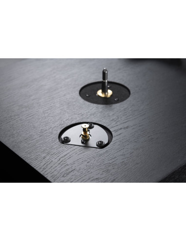 CS 518 black oak