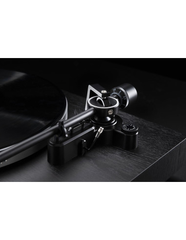 CS 518 black oak