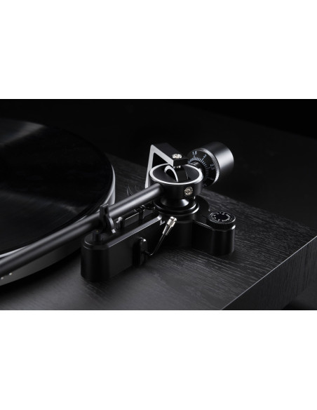 CS 518 black oak