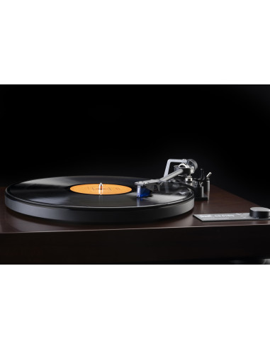 CS 618W Walnut