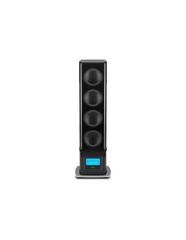 McIntosh PS2K