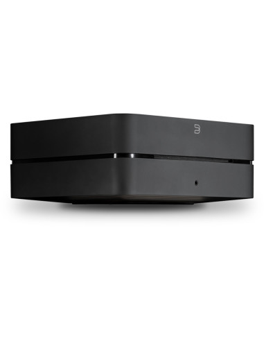 Bluesound Valut 2i