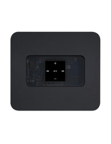 Bluesound Valut 2i