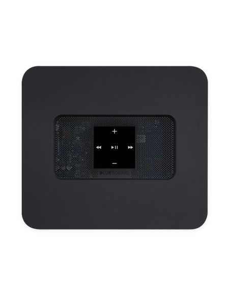 Bluesound Valut 2i
