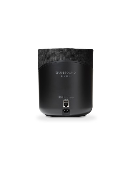 Bluesound Pulse M