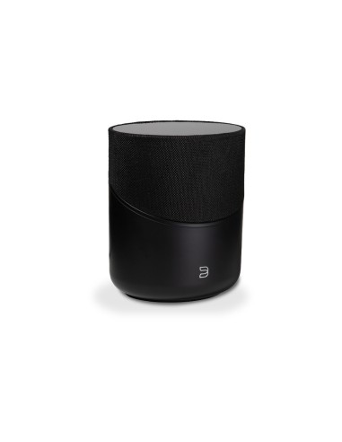 Bluesound Pulse M