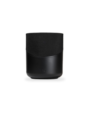 Bluesound Pulse M