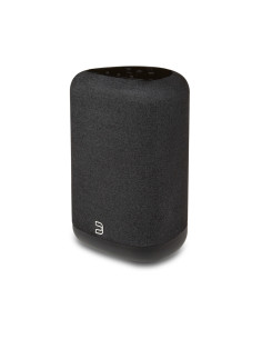 Bluesound Pulse Flex (2025)