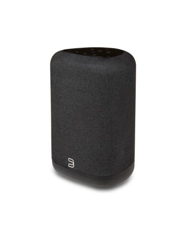 Bluesound Pulse Flex (2025)