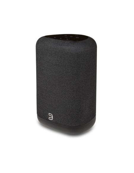 Bluesound Pulse Flex (2025)
