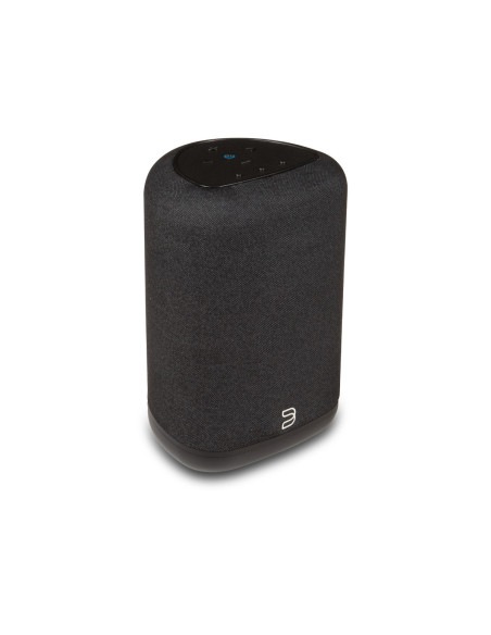 Bluesound Pulse Flex (2025)