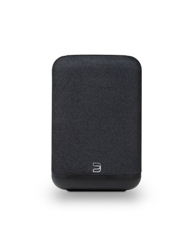 Bluesound Pulse Flex (2025)