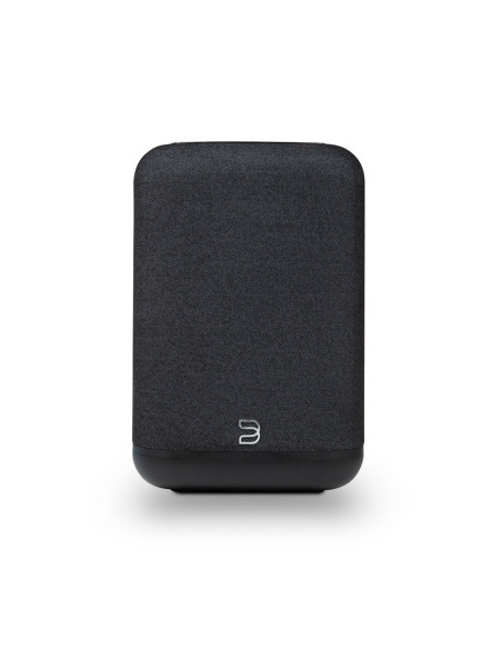 Bluesound Pulse Flex (2025)