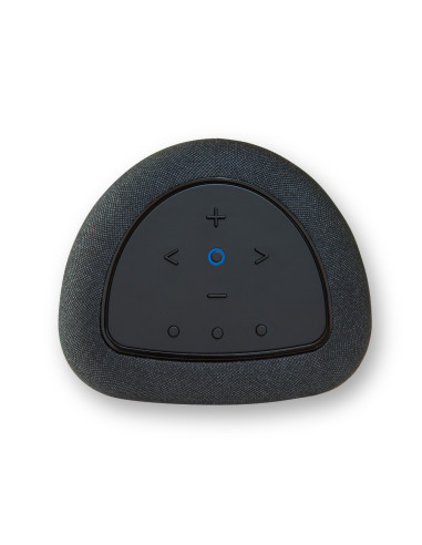 Bluesound Pulse Flex (2025)