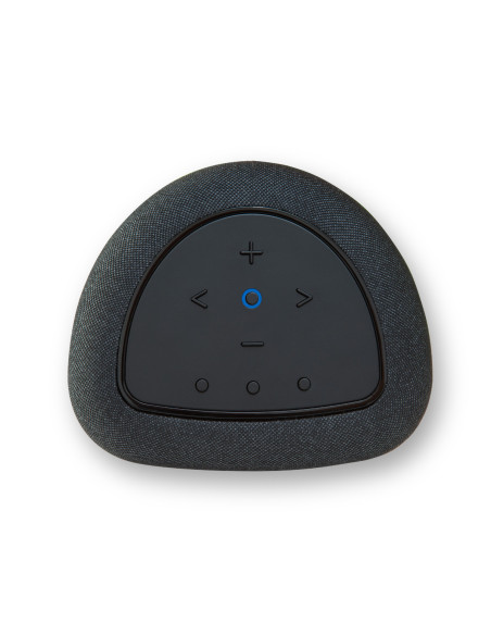 Bluesound Pulse Flex (2025)