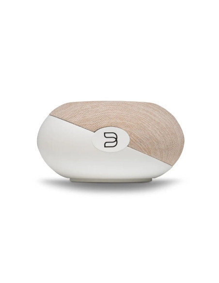 Bluesound Plus Cinema Mini