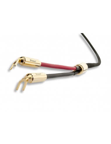 McIntosh Speaker Cables