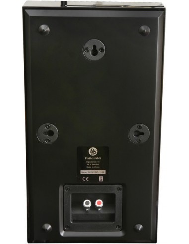 Flatbox Midi, wall speaker, black piano