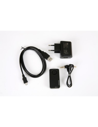 Flatsub Stereo-One, act. wall sub, black piano