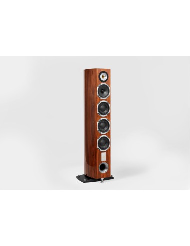 Magelan Quatuor 40th