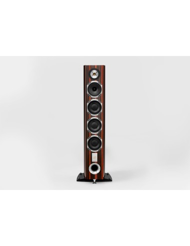 Magelan Quatuor 40th