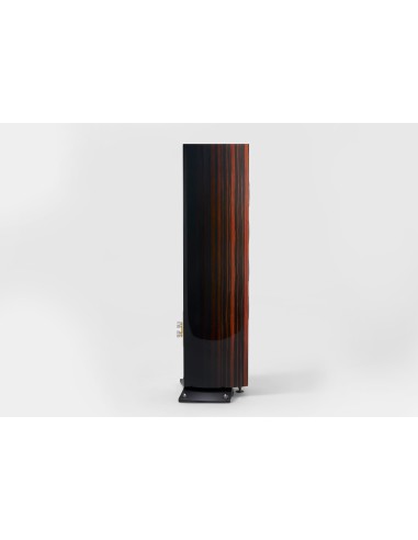 Magelan Quatuor 40th