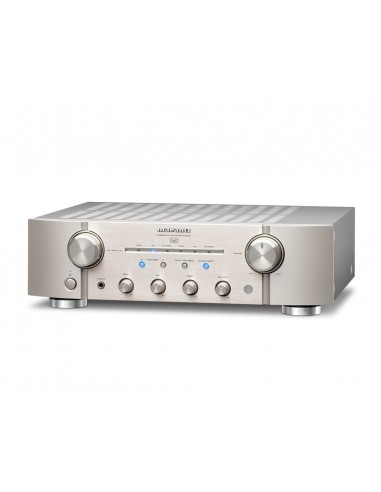 PM8006 (black, silver/gold)