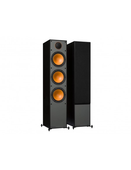 Monitor 300