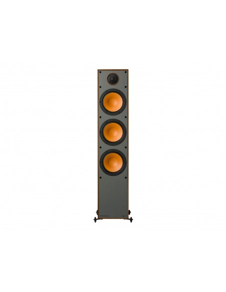 Monitor 300