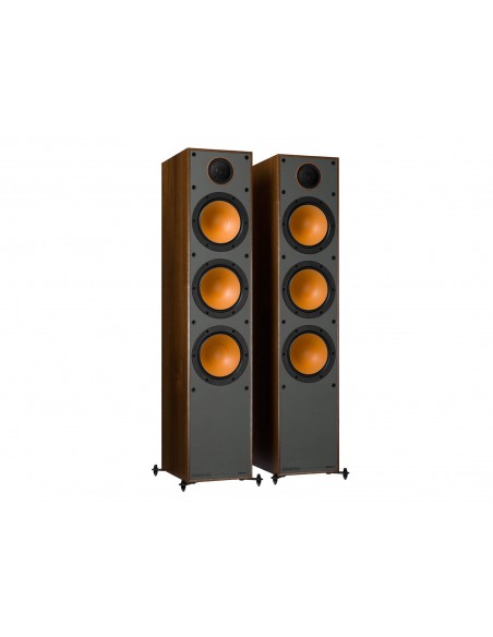 Monitor 300