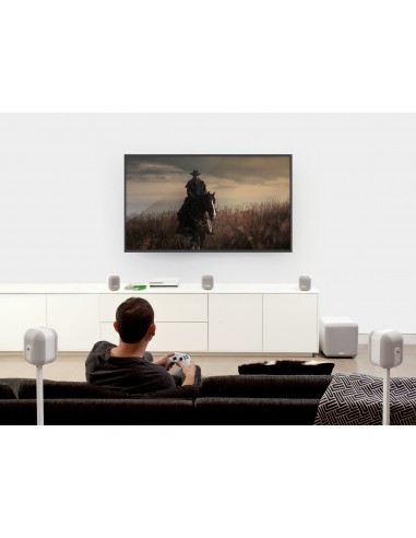 MASS Surround Sound 5.1