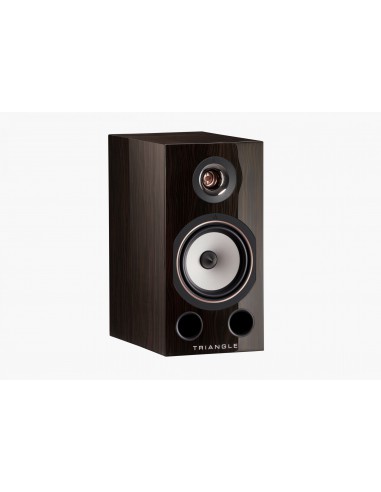 Comete 40TH ANNIVERSARY