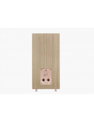 Comete 40TH ANNIVERSARY