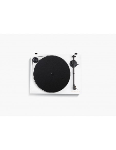 Triangle Turntable