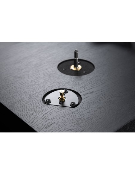 CS 518 black oak