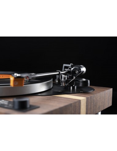 Primus Maximus walnut