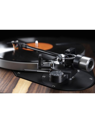 Primus Maximus walnut