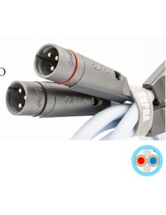SUPRA XL ANNORUM XLR AUDIO