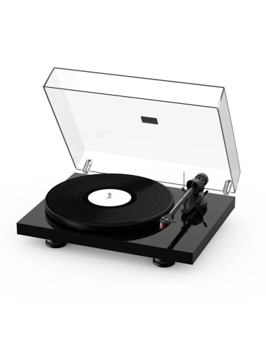 Project Debut Carbon EVO