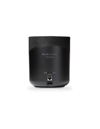 Bluesound Pulse M