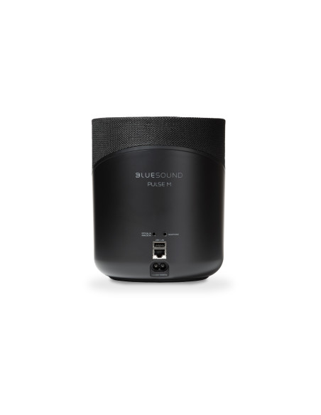 Bluesound Pulse M