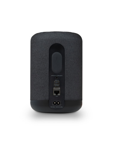 Bluesound Pulse Flex (2025)