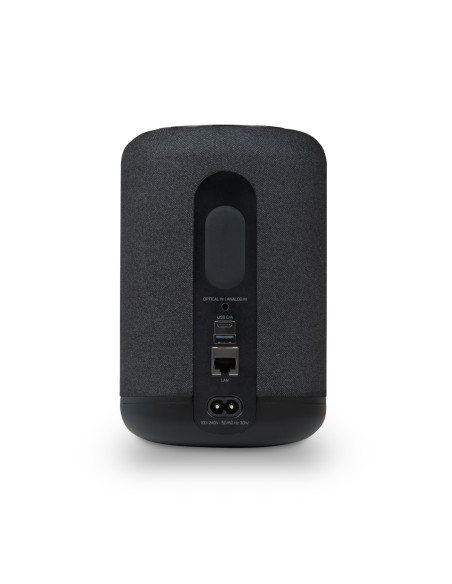 Bluesound Pulse Flex (2025)